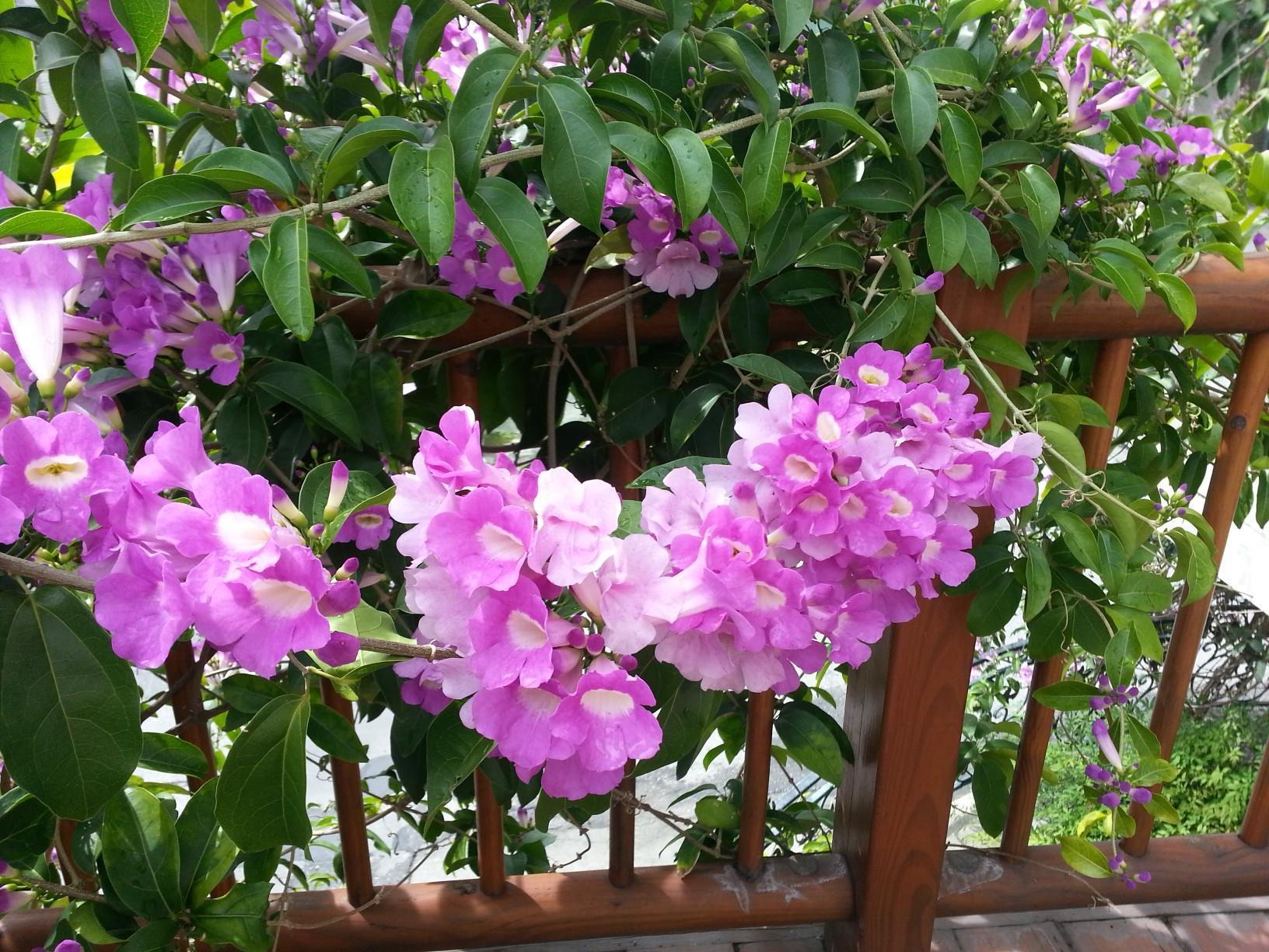 Melody Homestay Hualien City Exterior photo